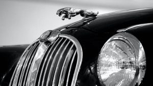 who-owns-jaguar?