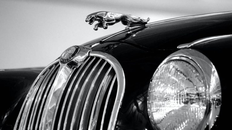 who-owns-jaguar?