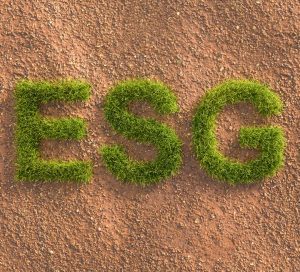 Plants spell ESG on a background of sandy soil