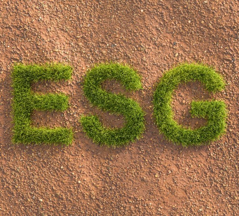Plants spell ESG on a background of sandy soil