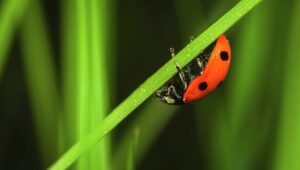 smooth-sailing:-google-resolves-bug-affecting-news-indexing