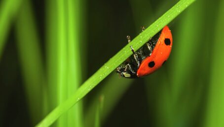 smooth-sailing:-google-resolves-bug-affecting-news-indexing