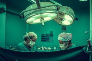 medical-milestone:-company’s-bold-mission-to-transplant-pig-hearts-into-infants