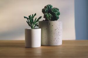 nature’s-impact-on-workplace:-research-shows-positive-effects-on-office-morale-and-productivity