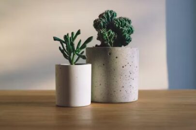 nature’s-impact-on-workplace:-research-shows-positive-effects-on-office-morale-and-productivity