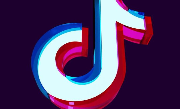 TikTok decline ecommerce search engine