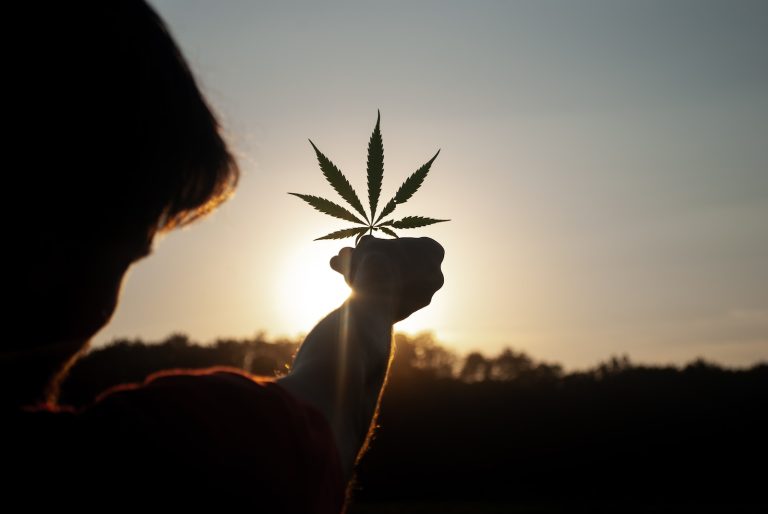 Cannabis and concentration