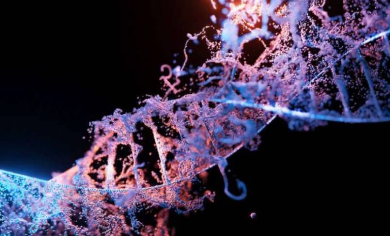 automated machine learning system for biology