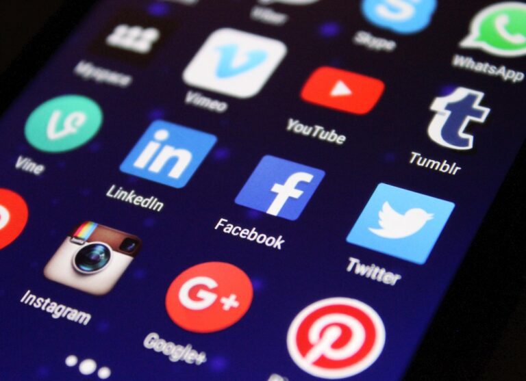 Risks of Social Media Resumes