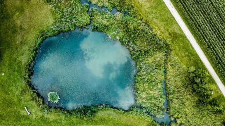 NatureEye Is Redefining Travel Through Virtual Drone Adventures