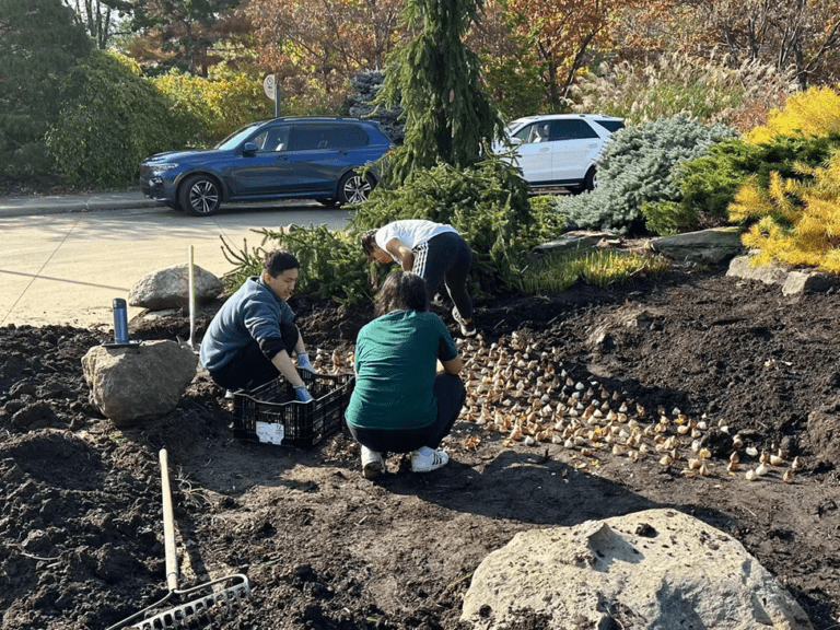 LittleBigGreen's effectiveness is evidenced by the personal development of its members and the measurable achievements realized in the broader community.