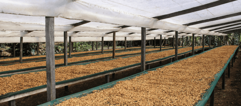 Bunafr's Home Roaster Launch at CES 2024: Transforming the Coffee Supply Chain
