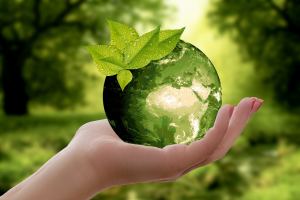 PlasTechFree, Inc. Pioneers Sustainability in a Plastic-Driven World