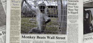 Monkey beats wall street