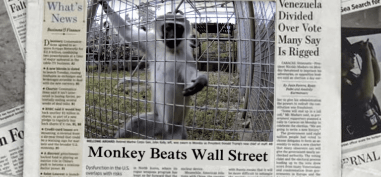 Monkey beats wall street
