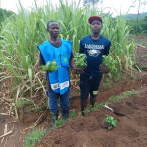 Kawagumba Village Community Project