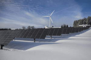Navigating the Shift: How Startups Can Thrive With Renewable Energy Plans