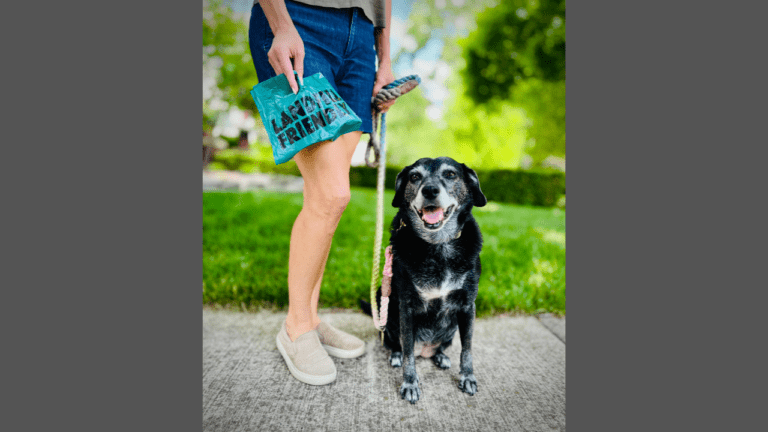 The Hidden Environmental Impact of Dog Waste Bags