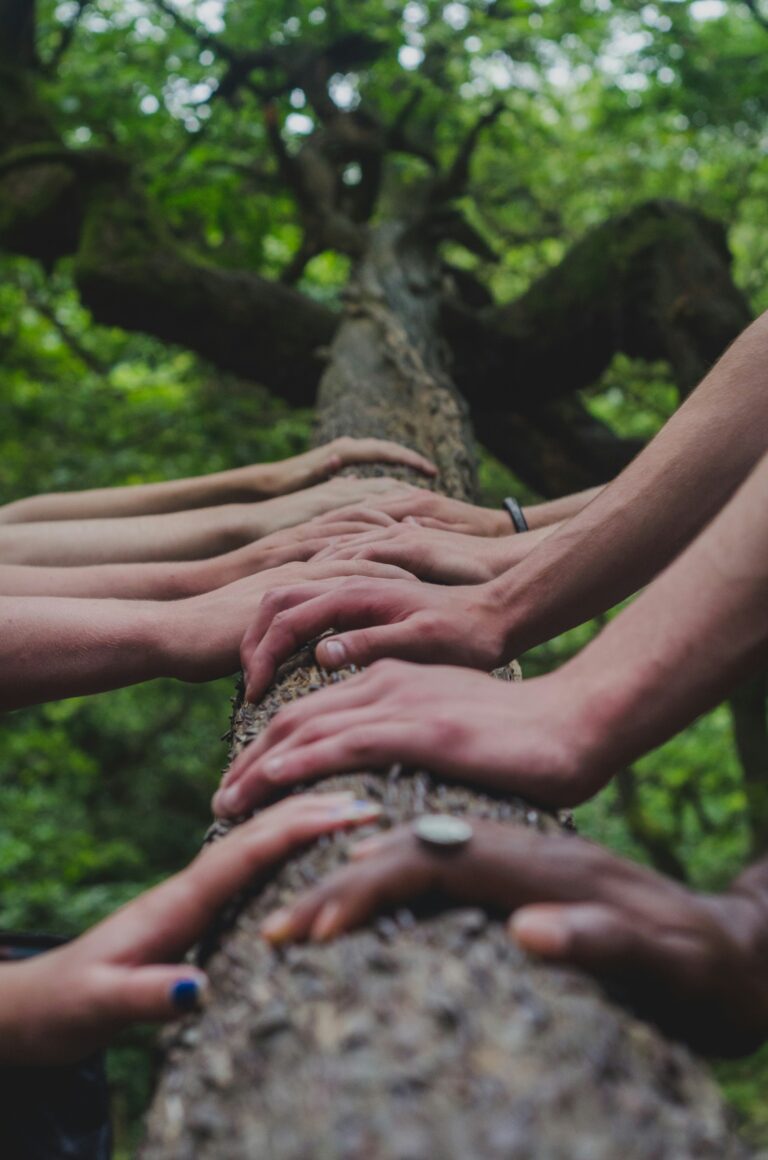 How James River Church Supports Its Community All-Year-Round