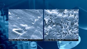 Biodegradable Plastic