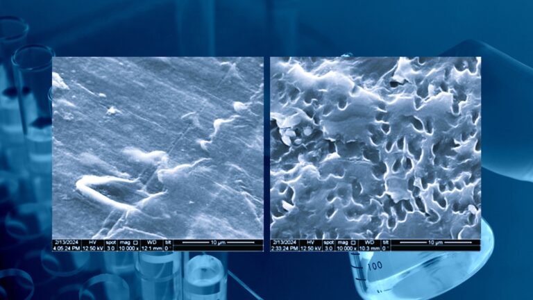 Biodegradable Plastic