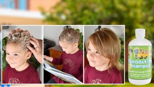 The Importance of Rigorous Research in Lice Treatment Products