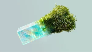 Reducing Your Carbon Footprint: Personal vs. Professional Approaches