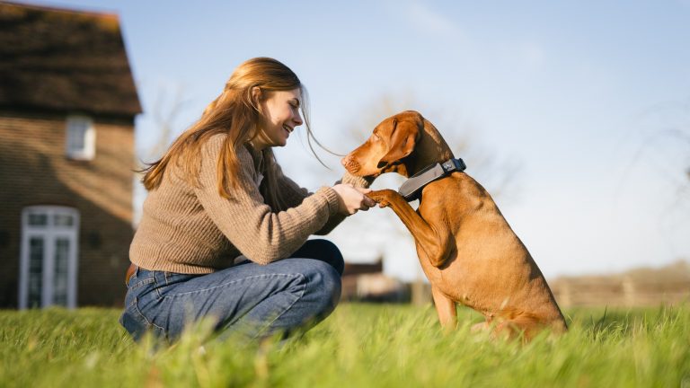 Fetch and SATELLAI Team Up to Launch AI Collar That Aims to Reinvent Dog Care