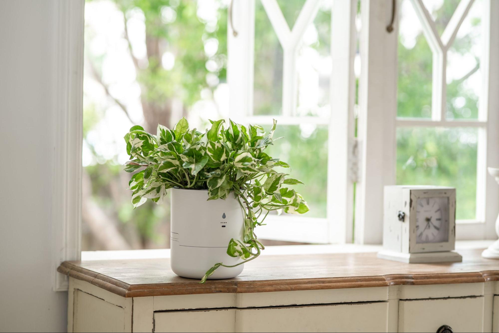 LeafyPod: CES 2026